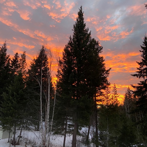 Meet your Posher - Picture 1 of 1